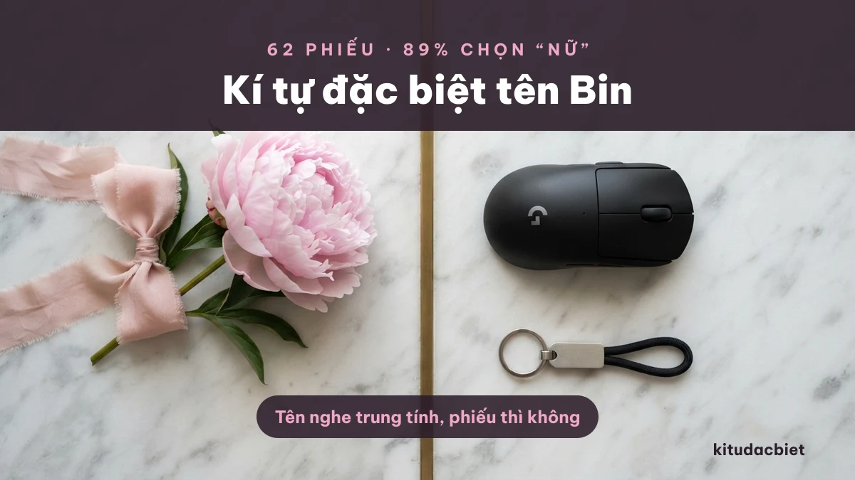 Kí tự đặc biệt tên Bin với bố cục chia đôi hồng và xanh